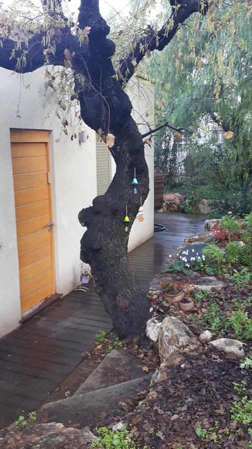 Oak Shade Villa Bethlehem of Galilee Buitenkant foto